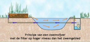 principe_zwemvijver3