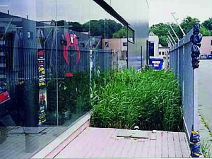 proj_afval1_m
